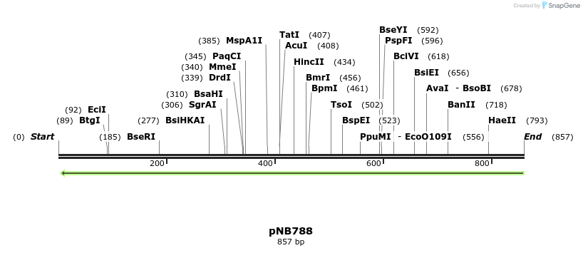 98613_map
