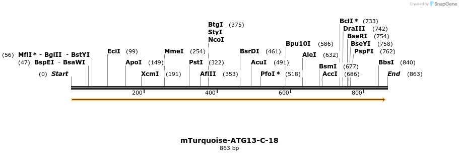 98616_map