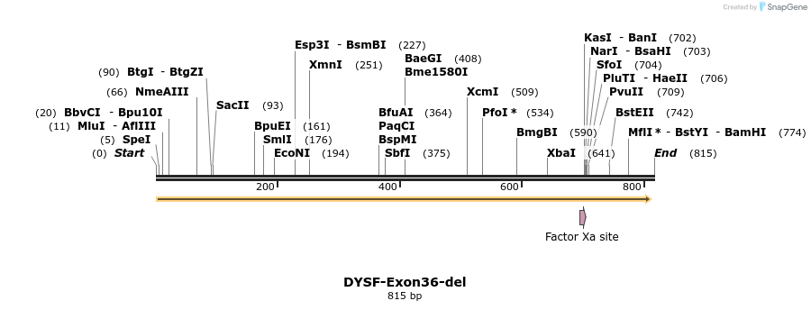 98623_map