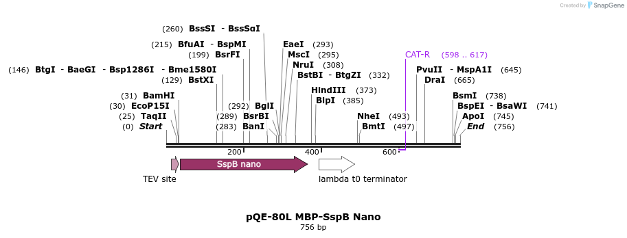 98627_map