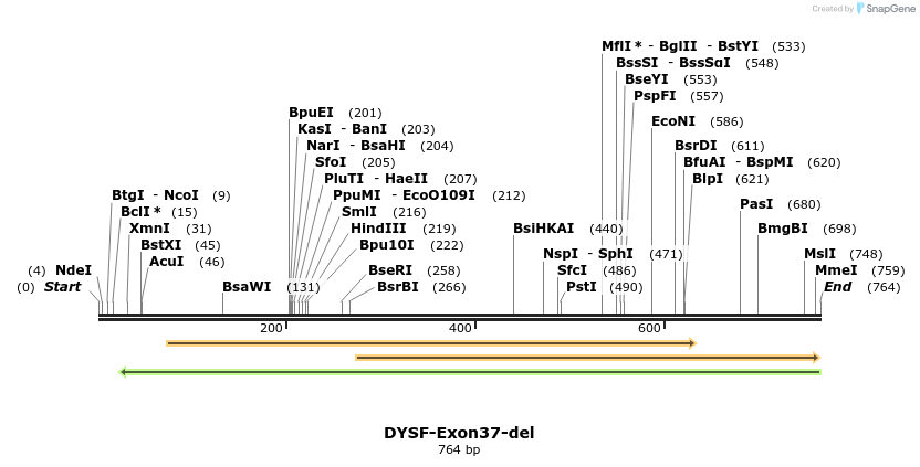 98629_map