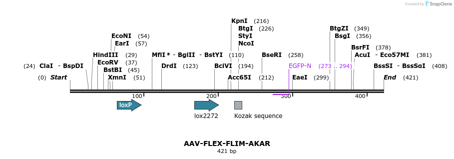 98632_map