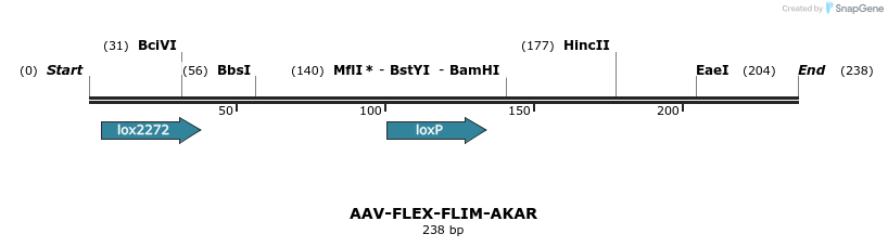 98638_map