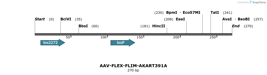 98640_map