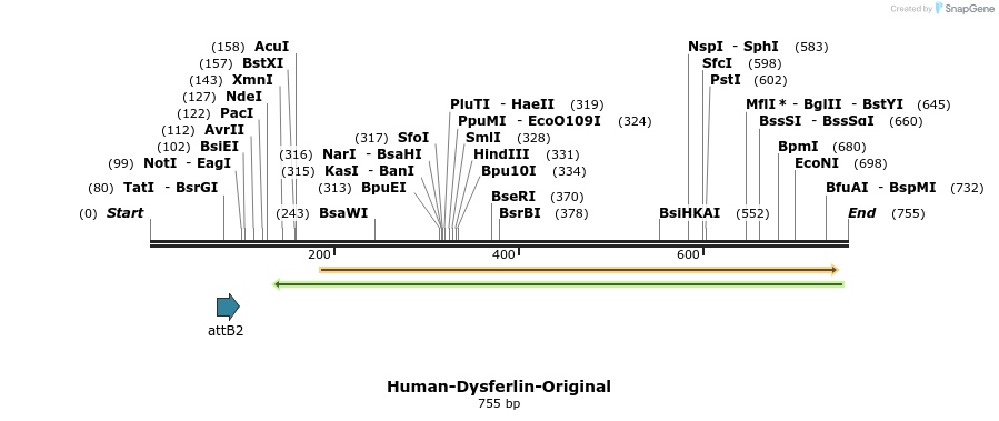 98641_map