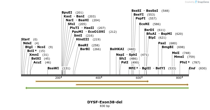 98647_map