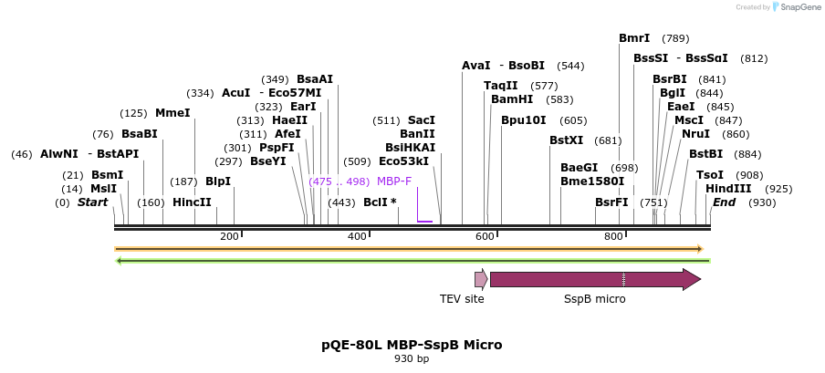 98650_map
