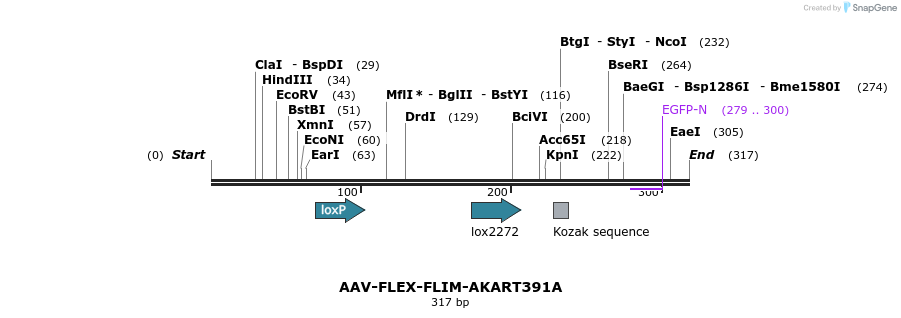 98656_map