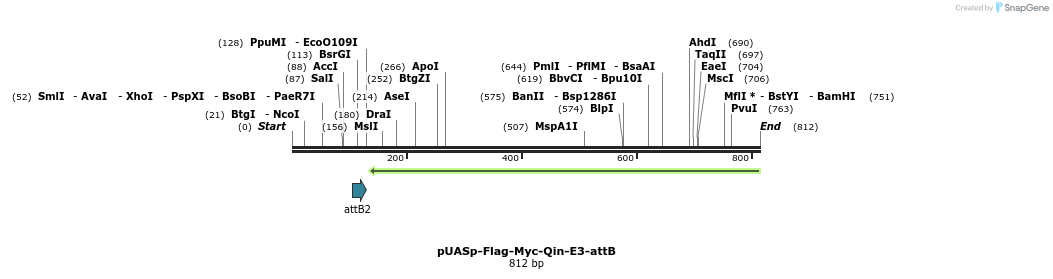 98661_map