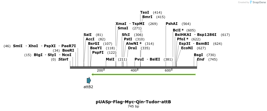 98670_map