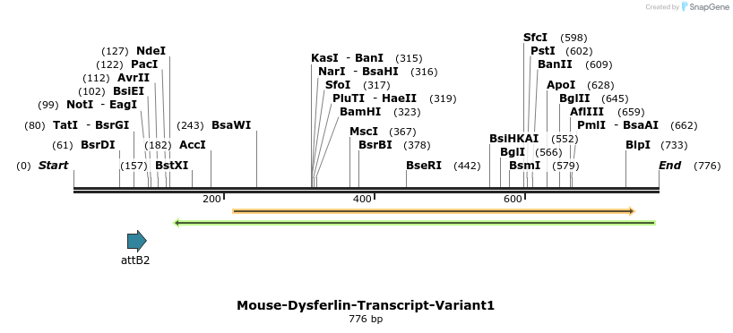 98671_map