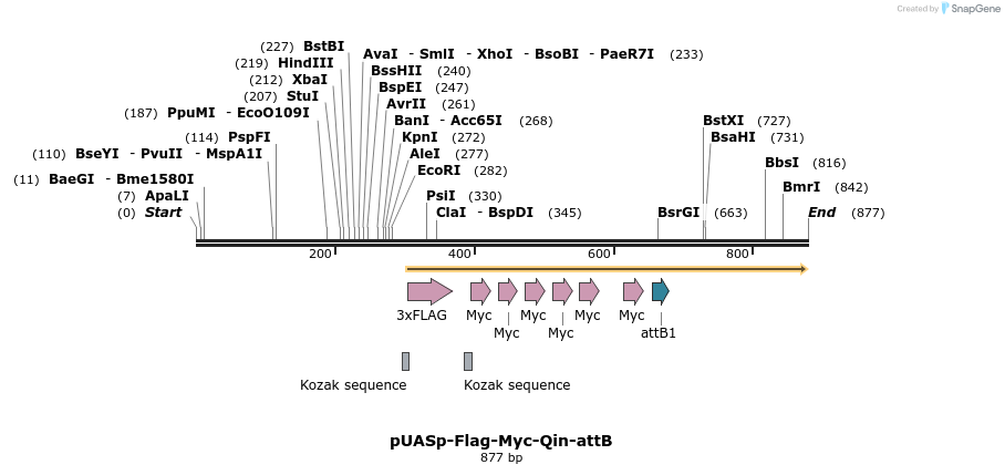 98676_map