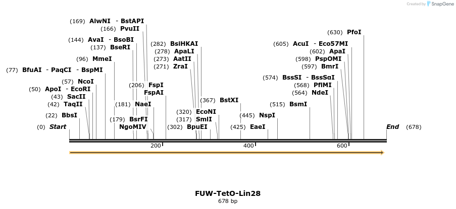 98677_map