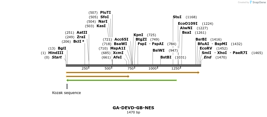 98689_map