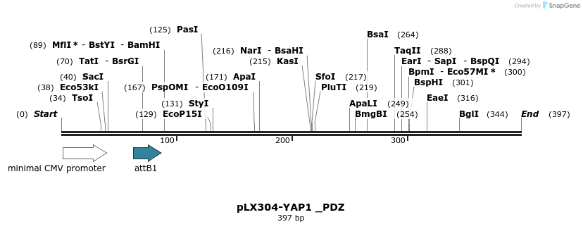 98691_map