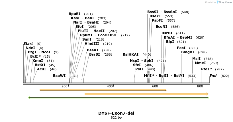 98702_map