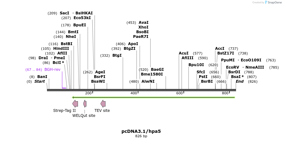 98704_map
