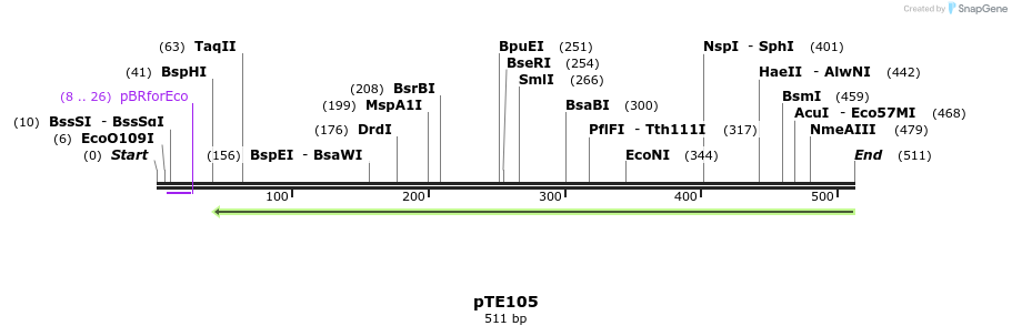 98707_map