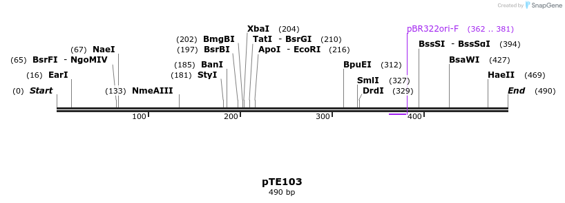 98708_map