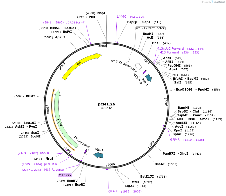 9871_map