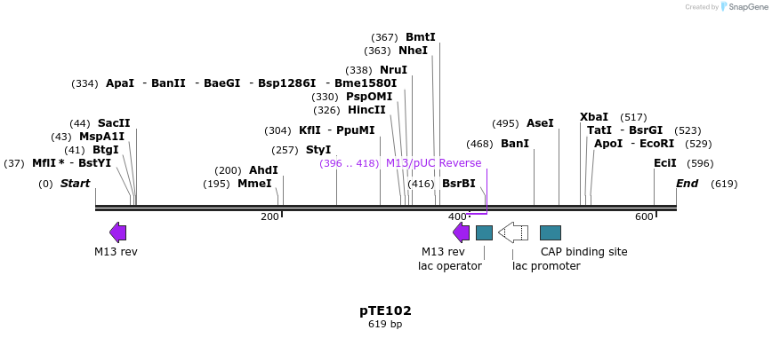 98716_map