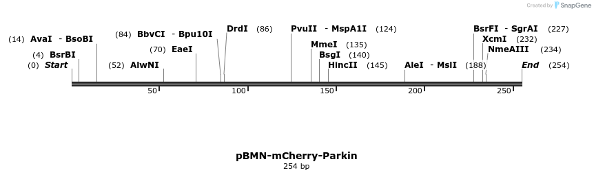 98717_map