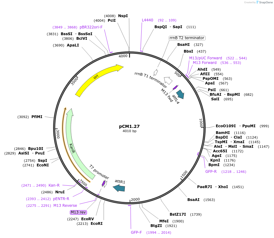 9872_map