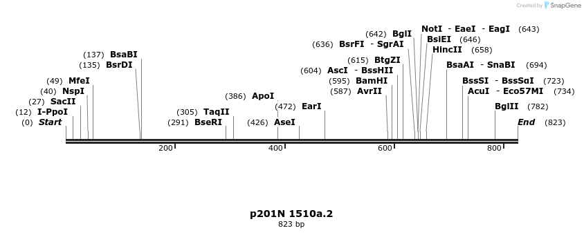 98723_map
