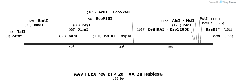 98724_map