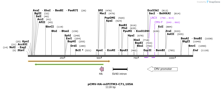 98725_map