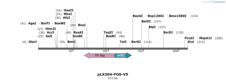 98726_map