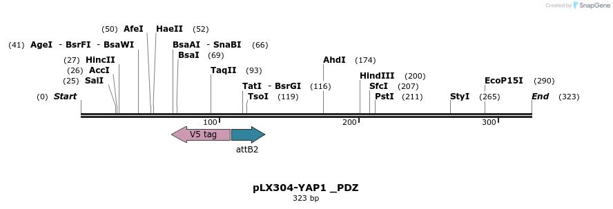 98728_map