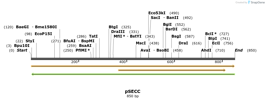 98731_map