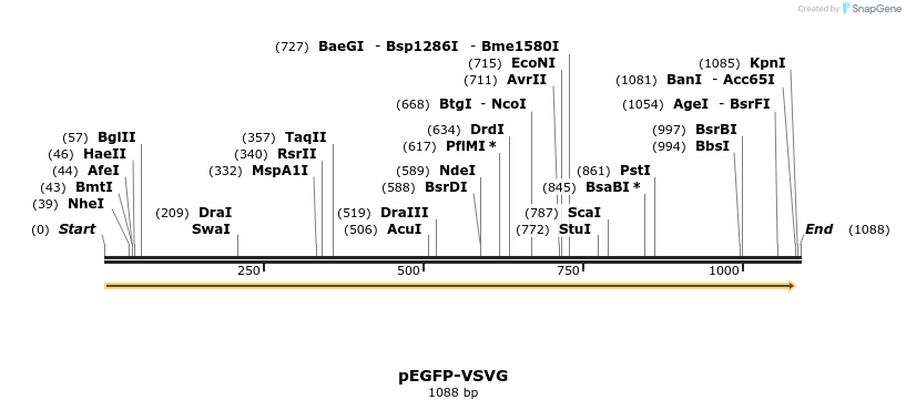 98735_map