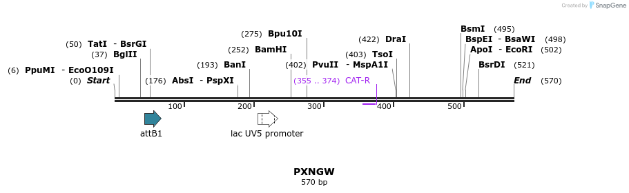 98737_map