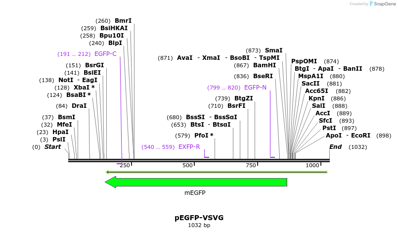 98739_map