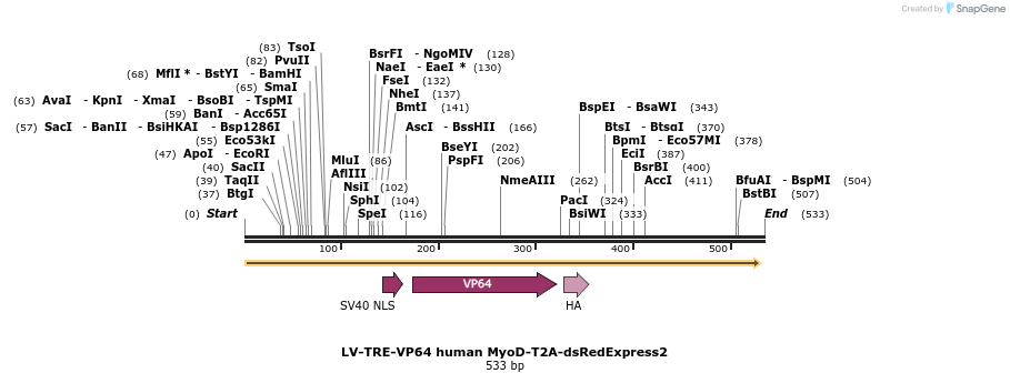 98741_map