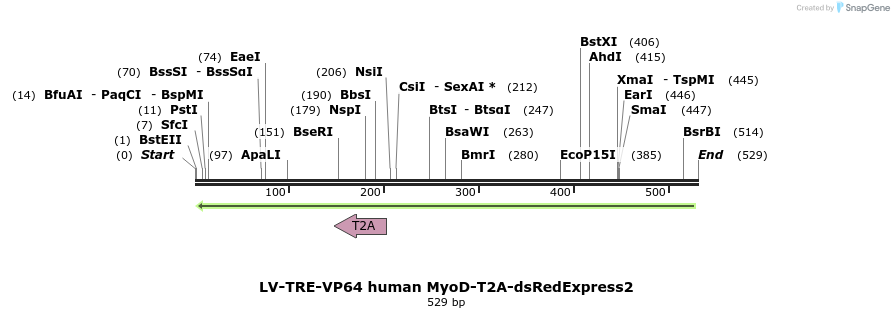 98742_map
