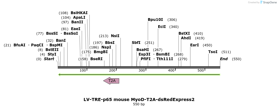 98744_map