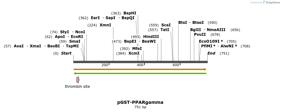 98747_map