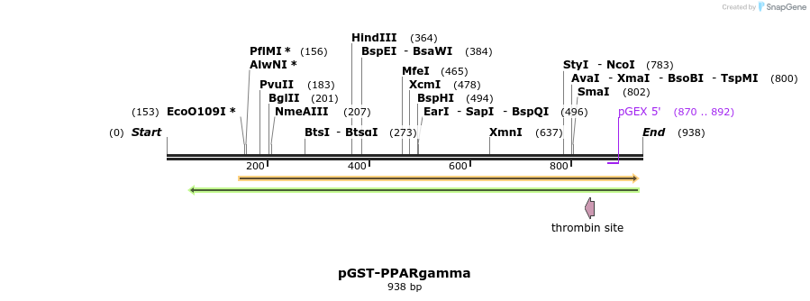 98748_map
