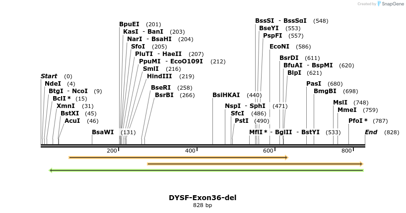 98749_map