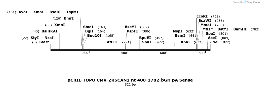 98755_map