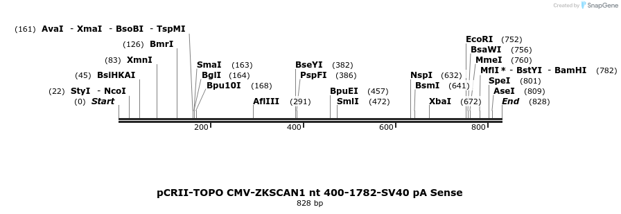 98758_map