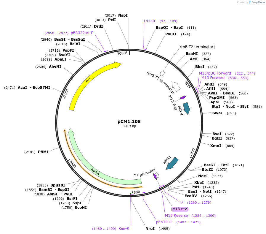 9876_map