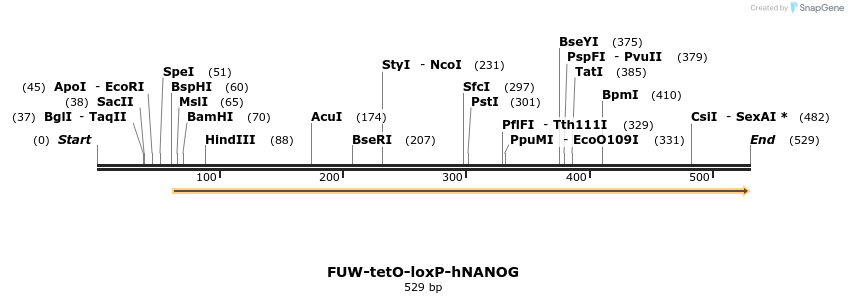 98760_map