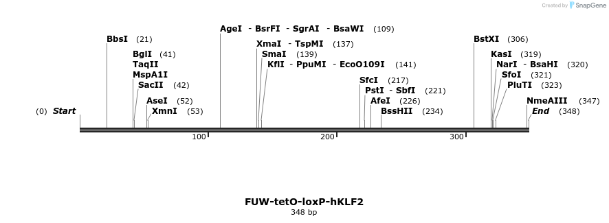 98761_map