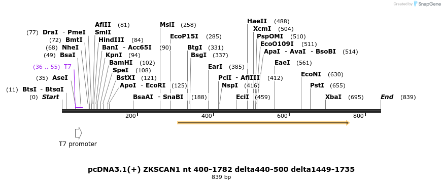 98762_map