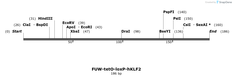 98764_map