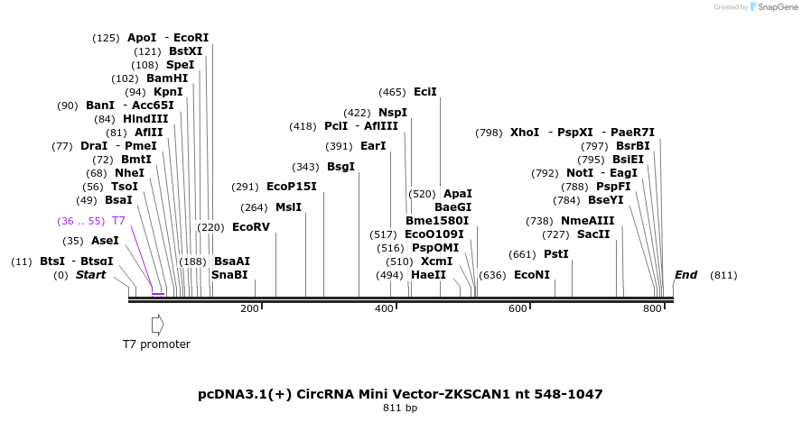 98765_map